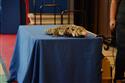 DSC_0619(7)-8
