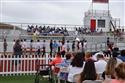 DSC_0790(5)-176