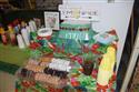 DSC_0799(4)-6