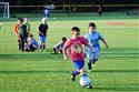 DSC_4318(3)-17