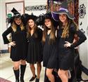 DSC_6481(3)-4