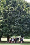 DSC_7898(2)-20