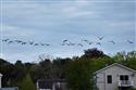 DSC_9634-128