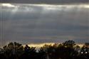 DSC_9638-129