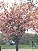 IMG_5382-12