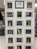 IMG_7180-62