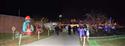 Panorama_3(28)-2