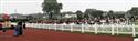 Panorama_3(71)-46