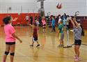 Volley8-8